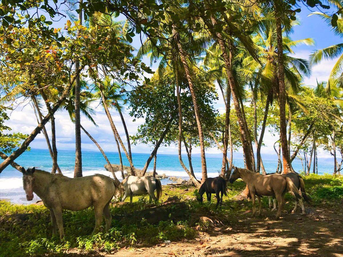 Brahman Bungalows On Pavones Point Exterior photo