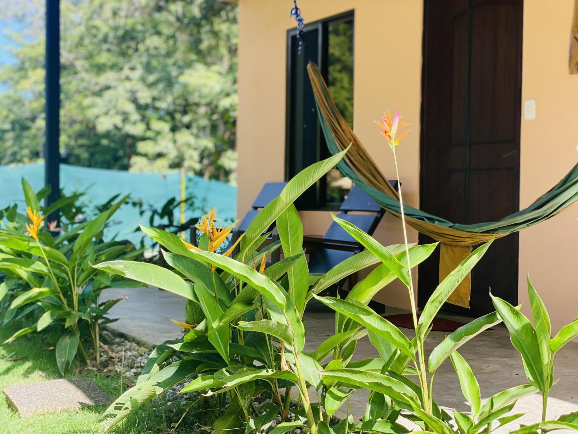 Brahman Bungalows On Pavones Point Room photo